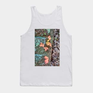 Elephant Rocks Study 5 Tank Top